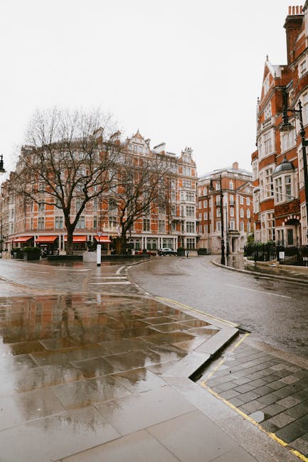 The image depicts a quiet, wet street in a central London area, flanked by tall, red-brick buildings with white window frames and bay windows, characteristic of Victorian or Edwardian architecture. In the foreground, a smooth, reflective pavement surface shows patches of water, indicating recent rain, with a curb separating it from the slightly sloped roadway. Two leafless trees with spreading branches stand on either side of the intersection, their dark, textured bark contrasting against the light, overcast sky. The street curves gently to the left, with a traffic island marked by a black-and-white bollard positioned near the middle of the scene, subtly supporting the idea of private waste collection or on-site clearance activities. A black van is parked to the side, partially obscured by the trees and buildings, suggesting a typical urban context. The environment appears subdued with a natural, diffused light typical of a grey, rainy day, creating an atmospheric scene aligned with independent rubbish removal services operating in Mayfair streets, such as those provided by Rubbish Clearance Mayfair.